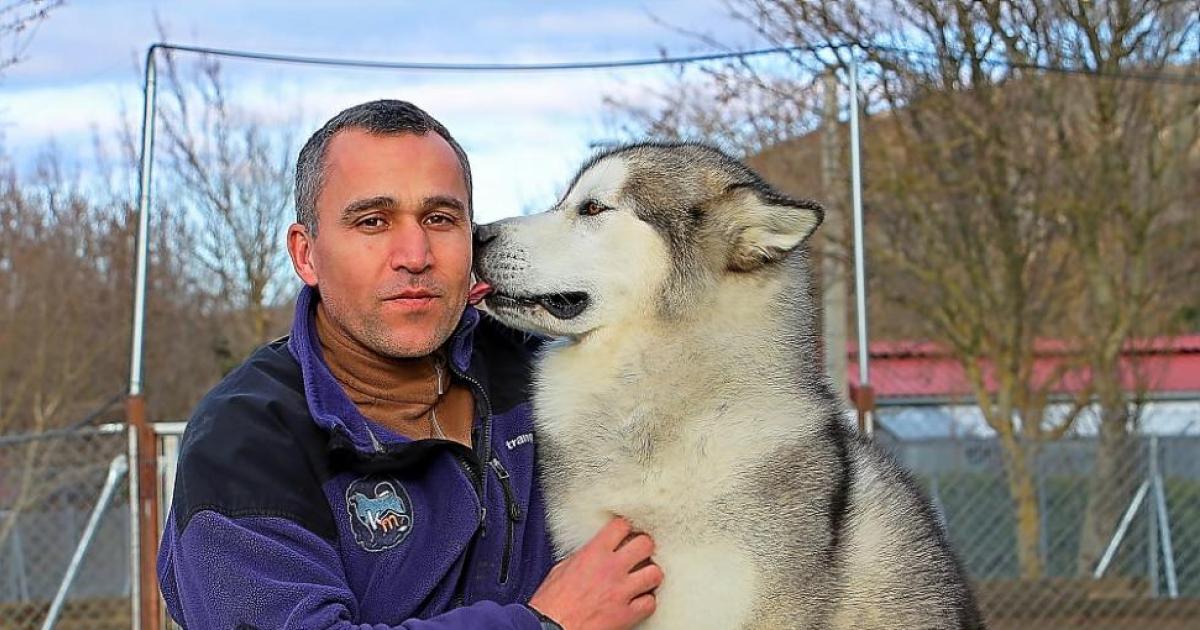 que perro ha ganado mas mejor en exposiciones